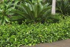 Bungaree TASplanting-garden-and-landscape-design-45.jpg; ?>